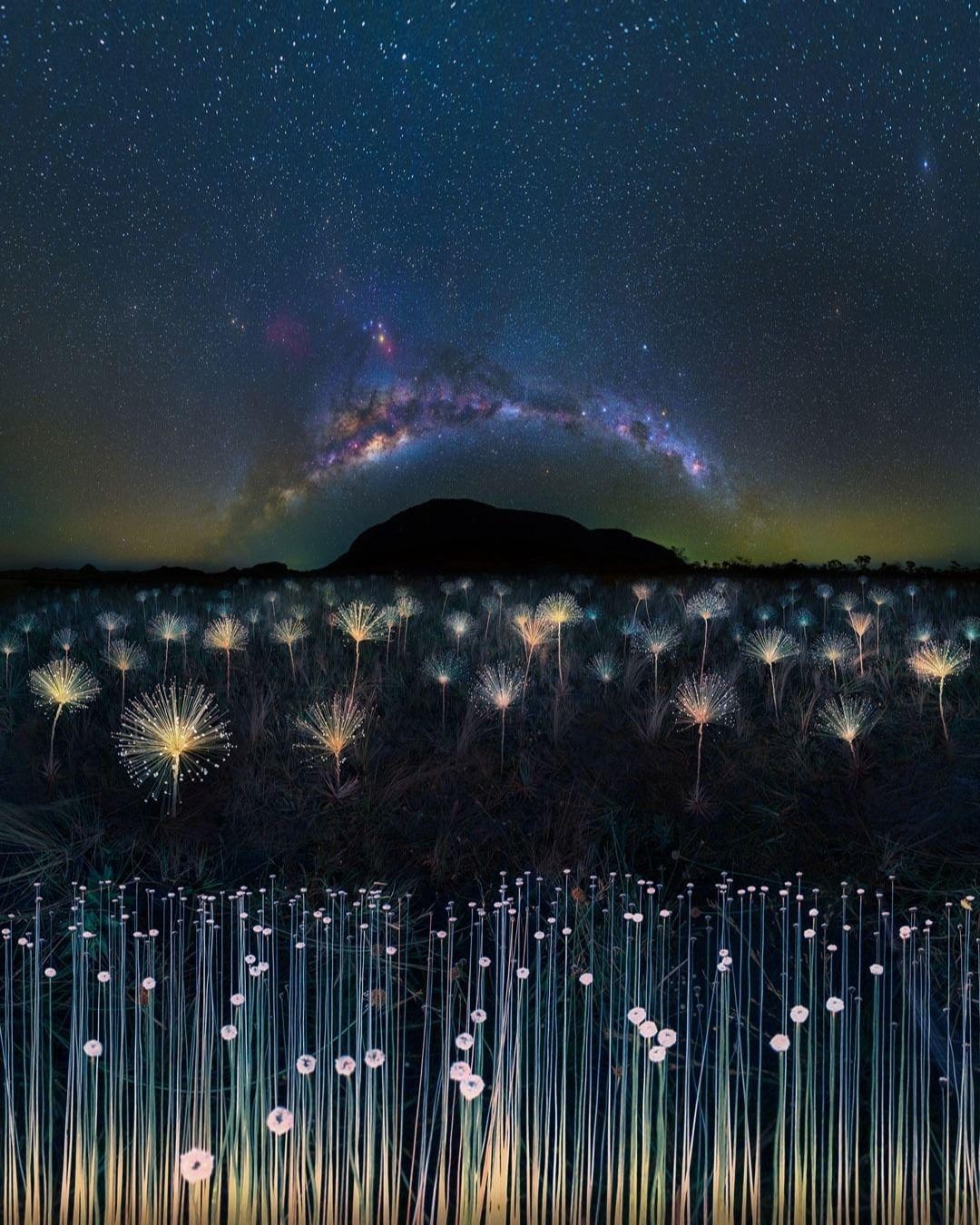 Map preview with curated pins and layers